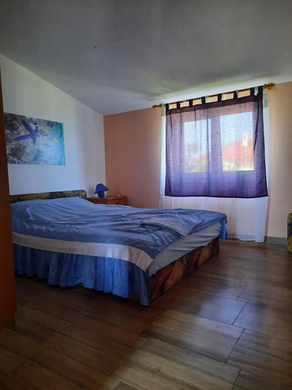 Apartments Visnja Hoek van Holland Ngoại thất bức ảnh